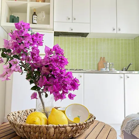 アパート On Hill 2 パルゲリーア