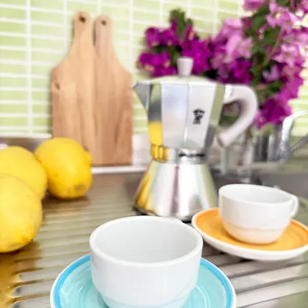 On Hill 2 * パルゲリーア